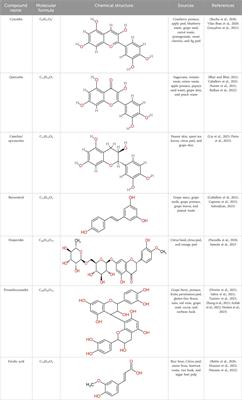 Exploration of novel eco-friendly techniques to utilize bioactive compounds from household food waste: special reference to food applications